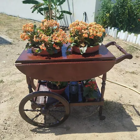 Quinta Dos Pilotos *